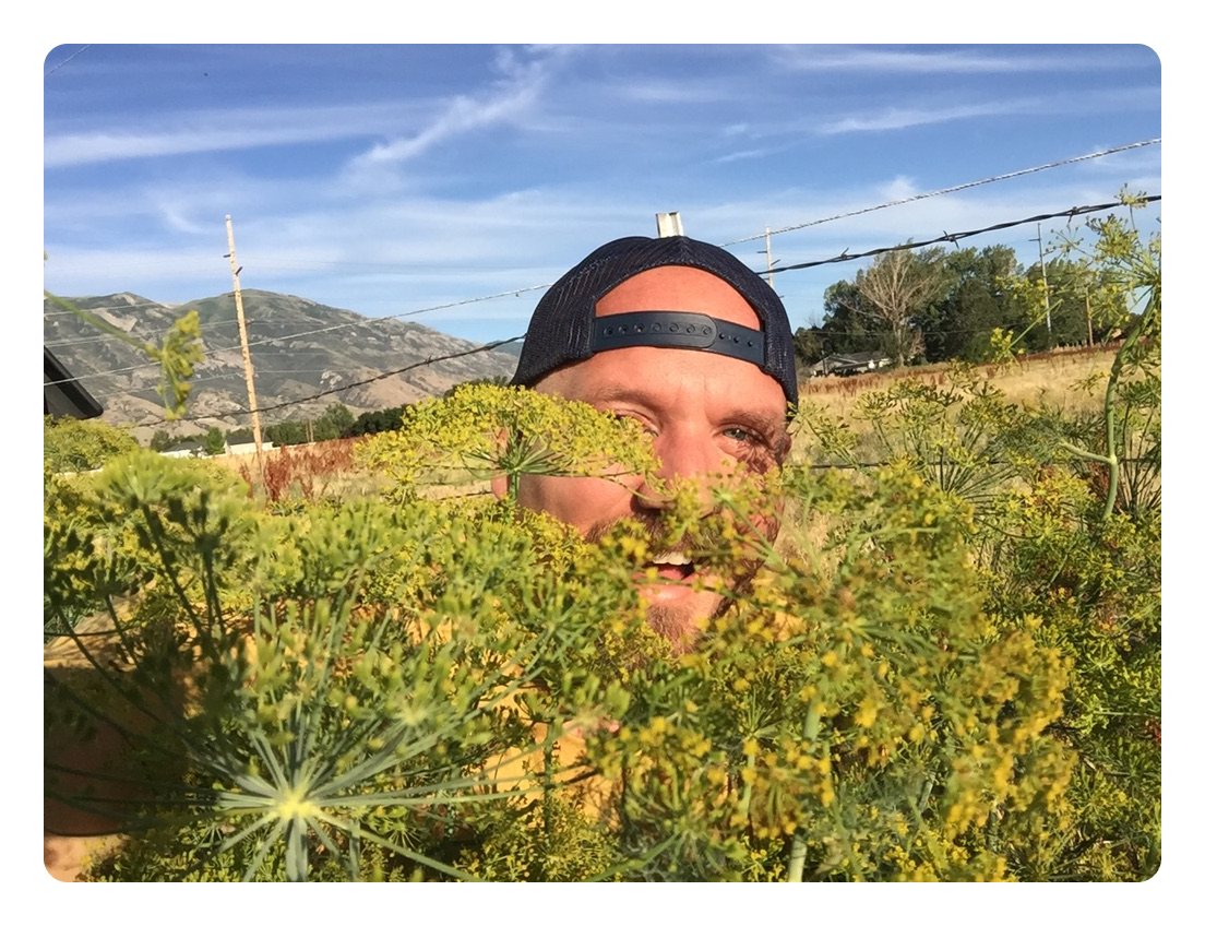 Our full line of brine